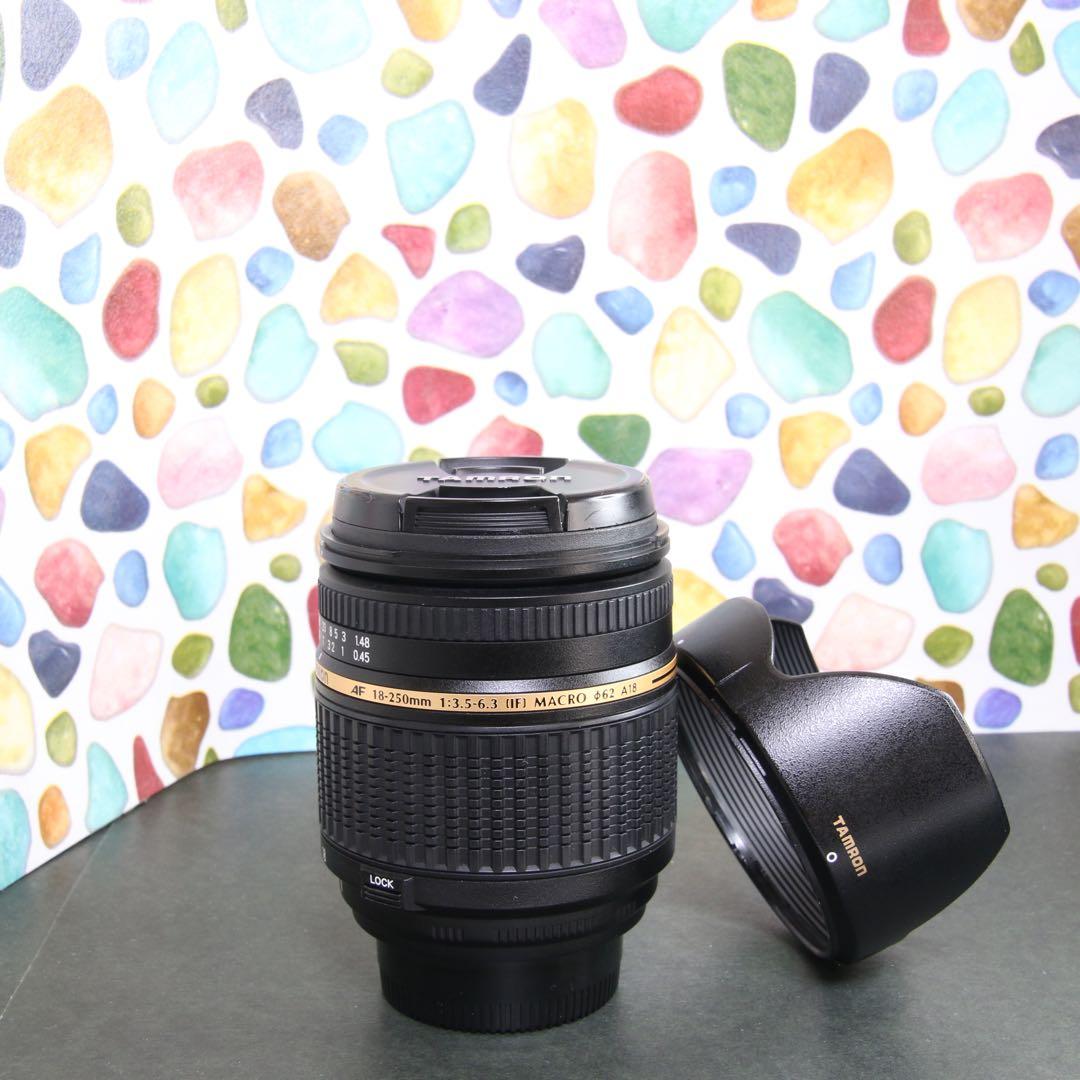 ♥︎◇美品 ◇TAMRON 18-250mm Nikon F ◇フード付き