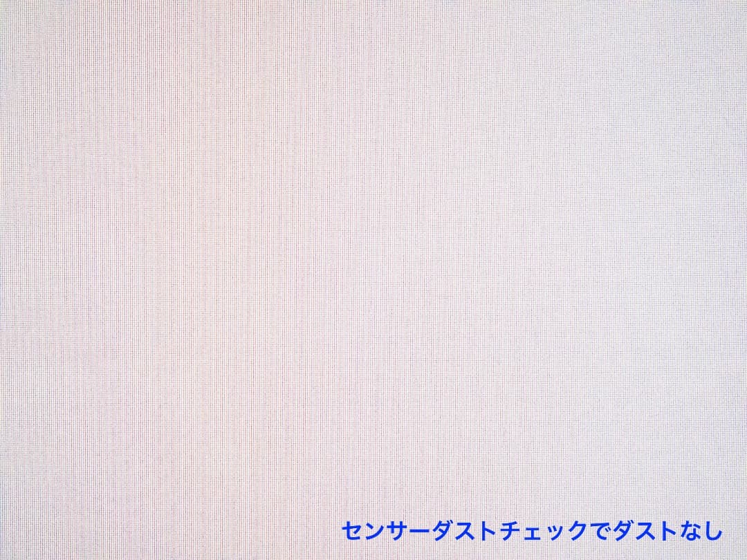 LUMIX DC-G100K 標準ズームレンズキット 中古美品