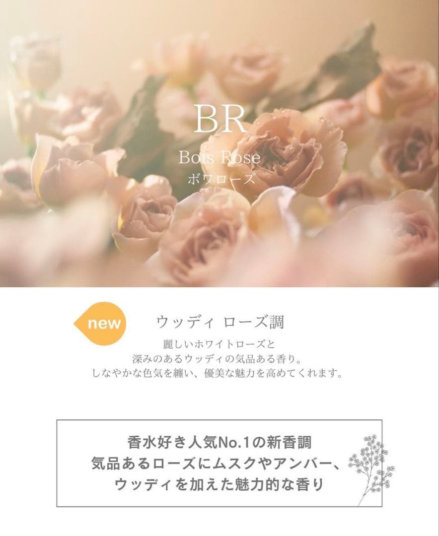 ellesinca BR シャンプー　トリートメント