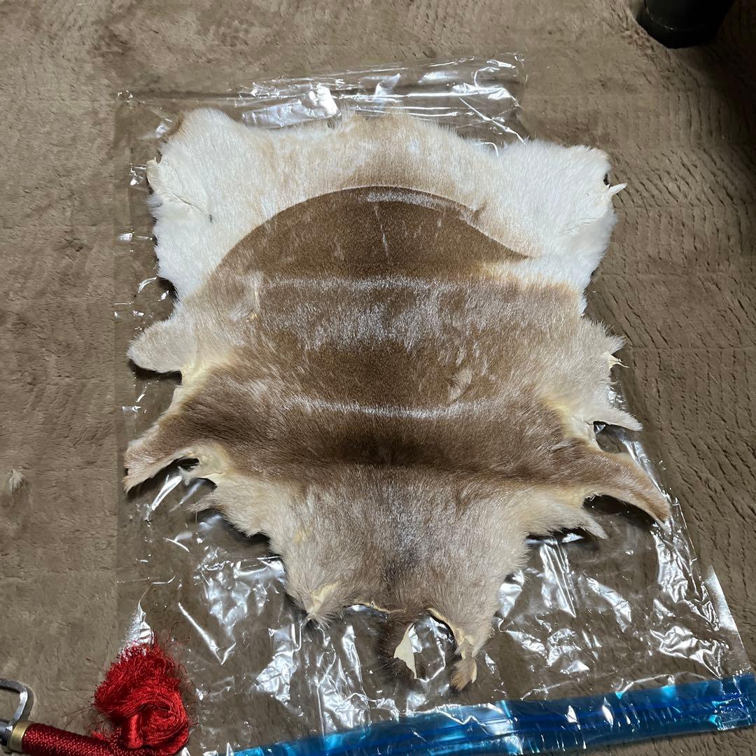 等身大鎧兜、五月人形、兜、稚児鎧兜、着用鎧兜