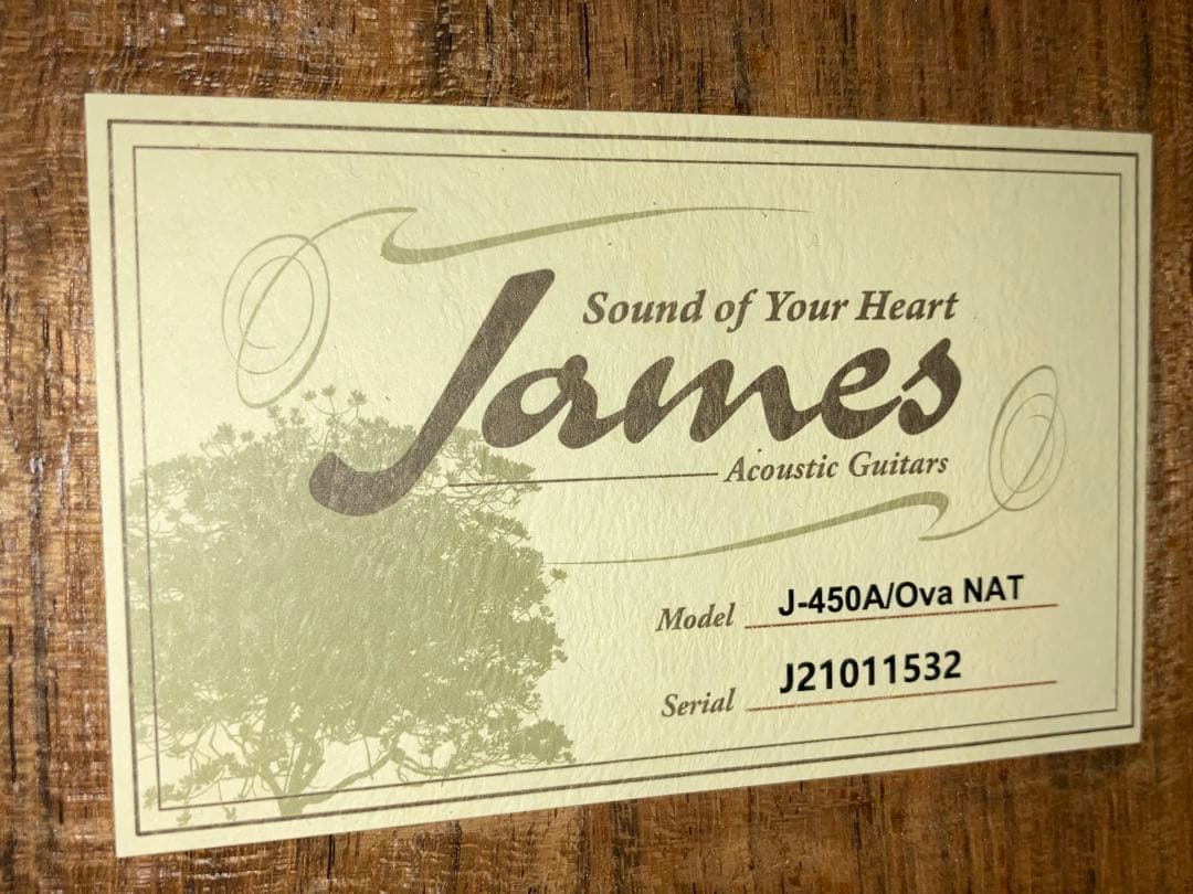 James J-450A/Ova NAT ジェームスギター