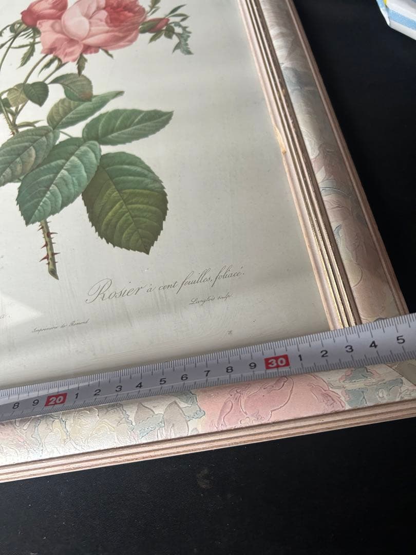 バラの植物画 シルバーフレーム付き