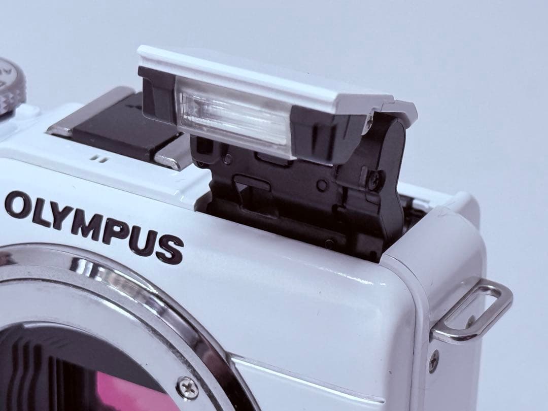 OLYMPUS PEN E-PL1s 動作確認済 付属品一式 ズームレンズキット