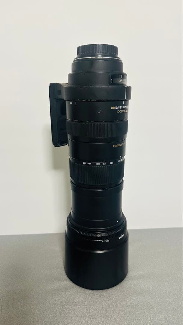 【むーむーらー】SIGMA 150-500mm