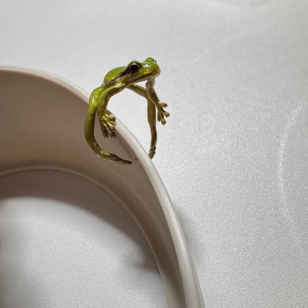 Nina　アマガエルリング/アマガエルイヤーカフ/ニホンヤモリイヤーカフ