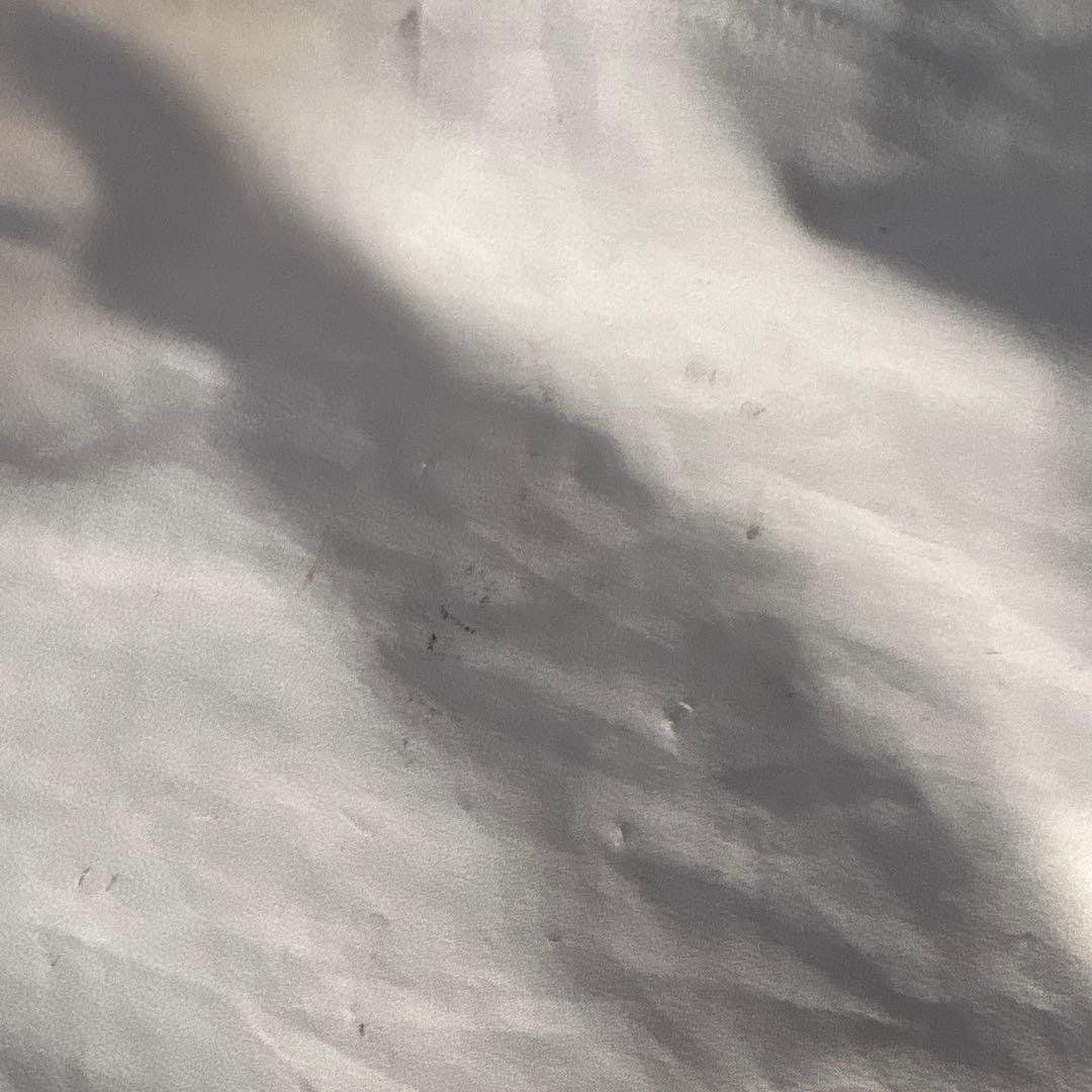 nature field スノーボード ビブパンツ