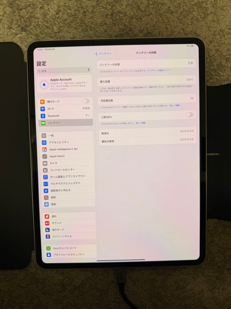 ★ほぼ未使用　iPad Pro13インチ256GB Wi-Fi