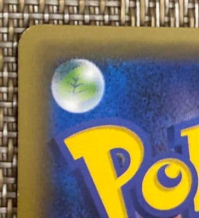 ポンチョを着たピカチュウ（レックウザ）