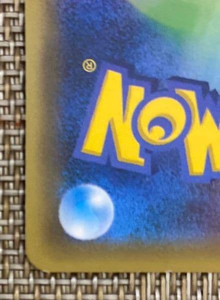 ポンチョを着たピカチュウ（レックウザ）