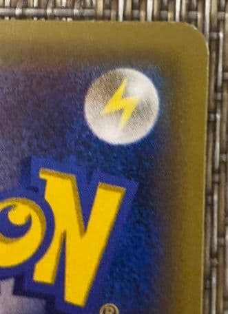 ポンチョを着たピカチュウ（レックウザ）