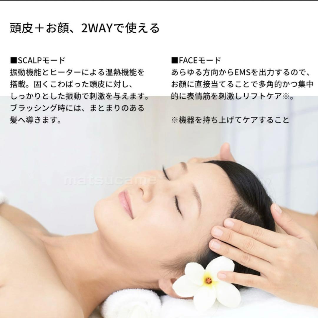 YA-MAN ヤーマン CREAGE クリアージュ グロウブラシ EMS 美容器