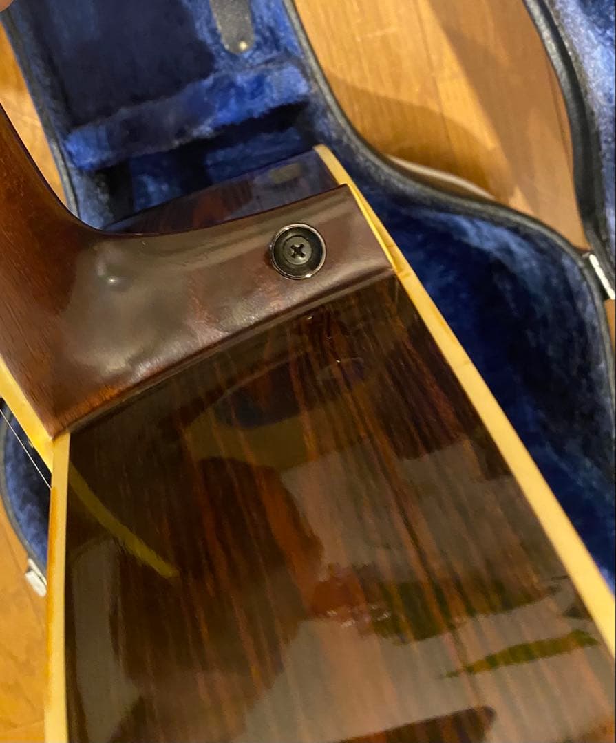 ハカランダ　東海楽器　HAY WAGON HW100 1977年