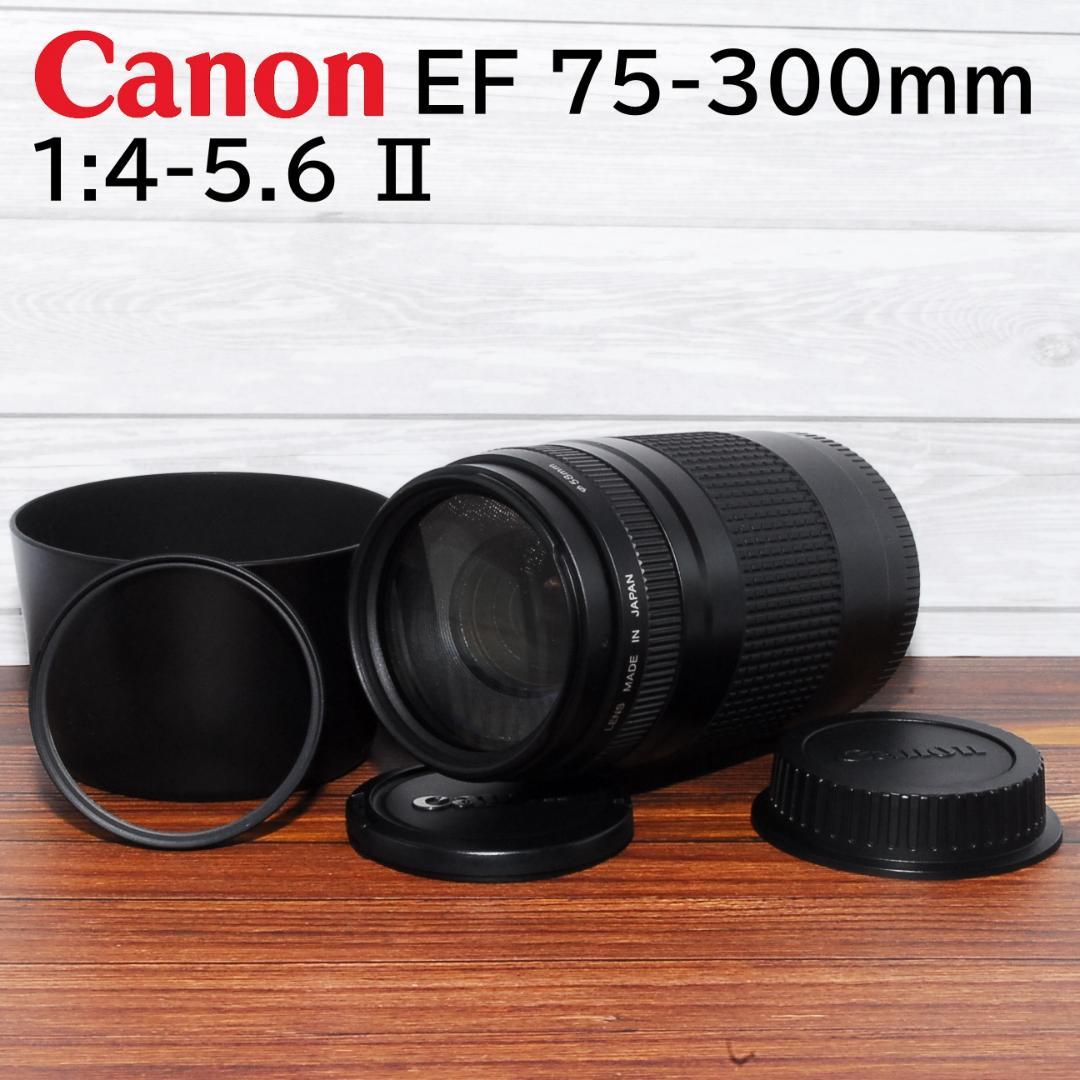 美品 望遠レンズ Canon EF 75-300mm F4-5.6 II