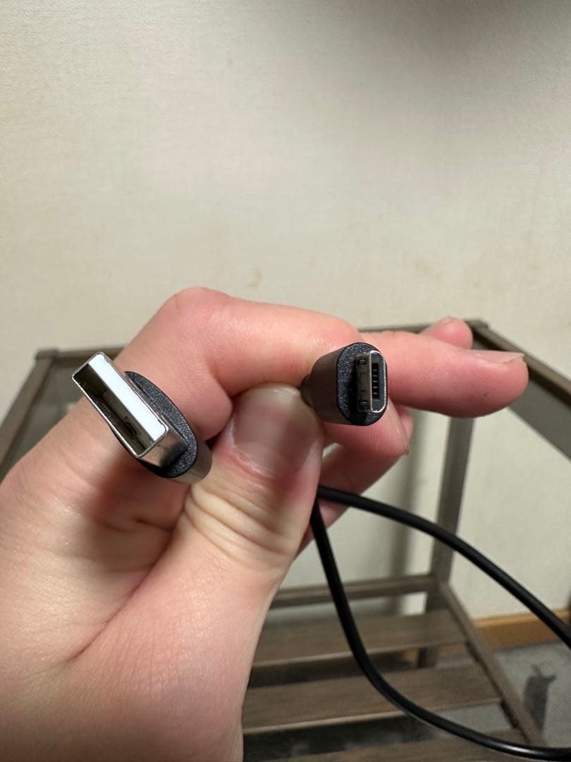 【りん】Panasonic LUMIX DMC-LX9