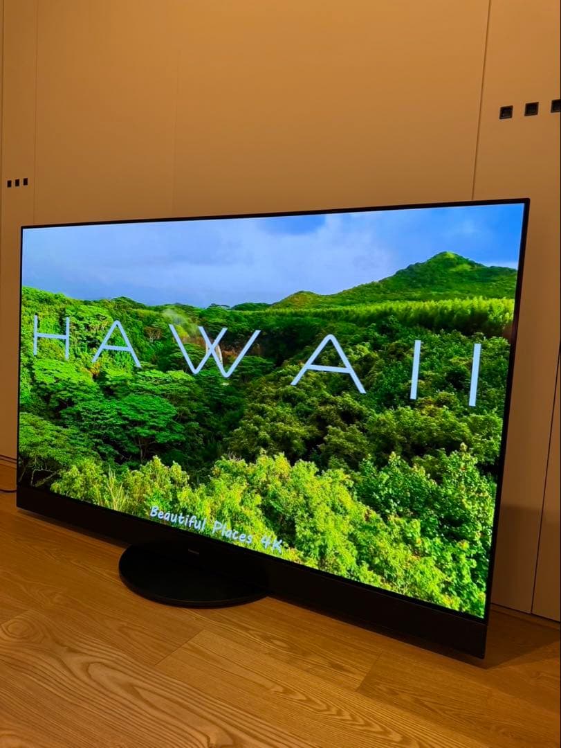 【ダイケイ様】Panasonic 2024年製 65型 TV-65Z95A