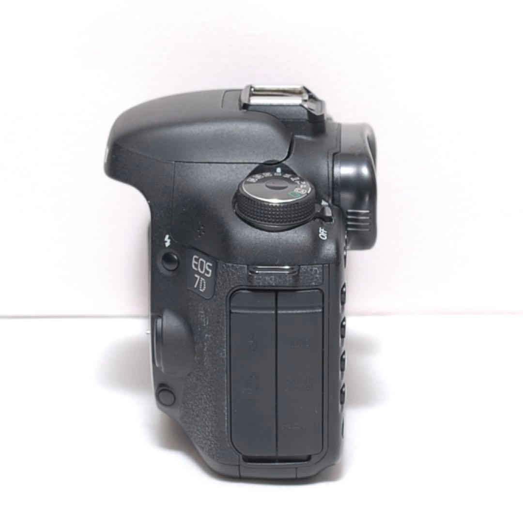 ✨ハイアマチュアに✨Canon EOS 7D✨ダブルレンズ✨超望遠レンズデビュー