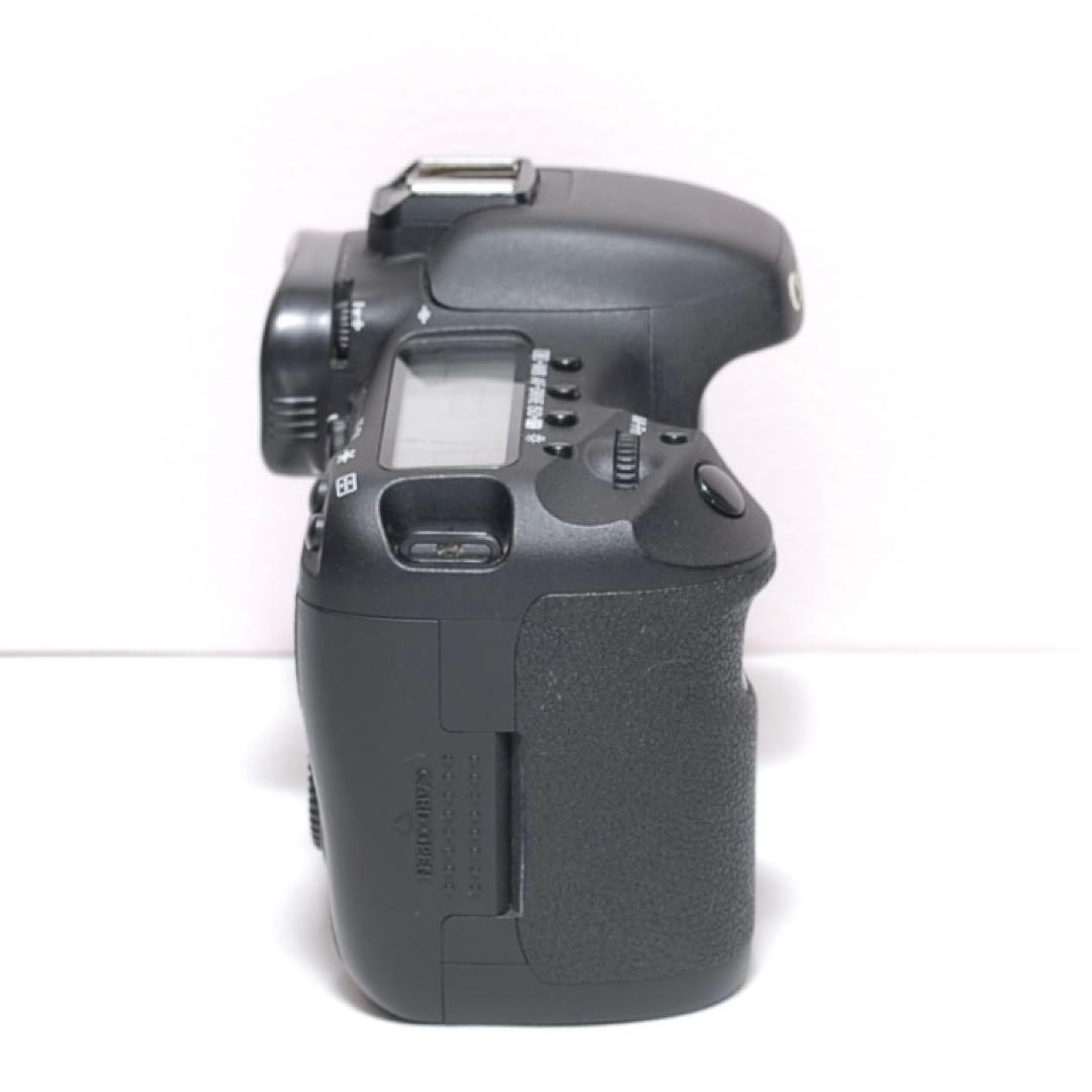 ✨ハイアマチュアに✨Canon EOS 7D✨ダブルレンズ✨超望遠レンズデビュー