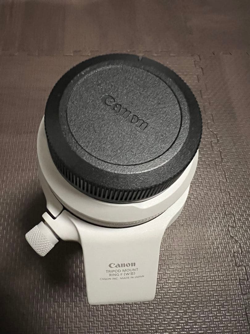 シラスCanonRF100-500mm F4.5-7.1 L IS USM