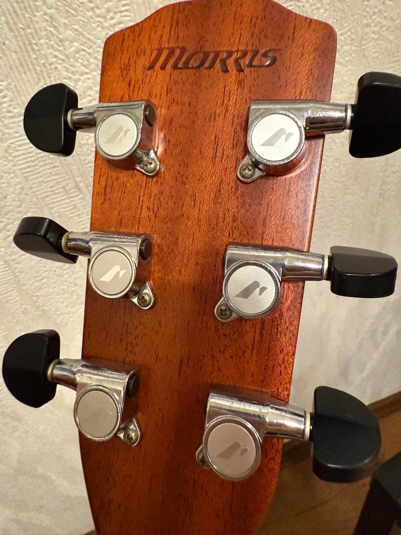 訳あり Morris S-61 Rumbler Series モーリス ギター