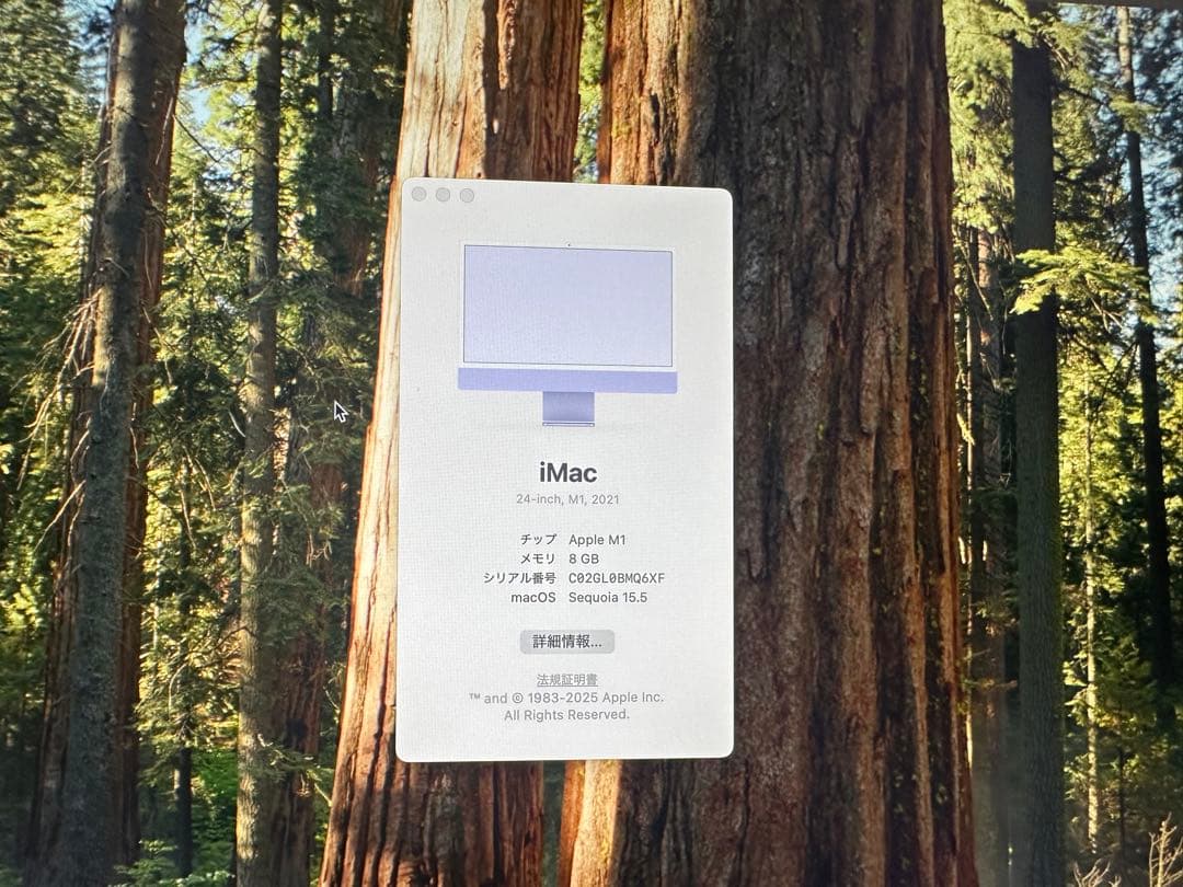 新品同様Apple M1 iMac 24 インチ超美品