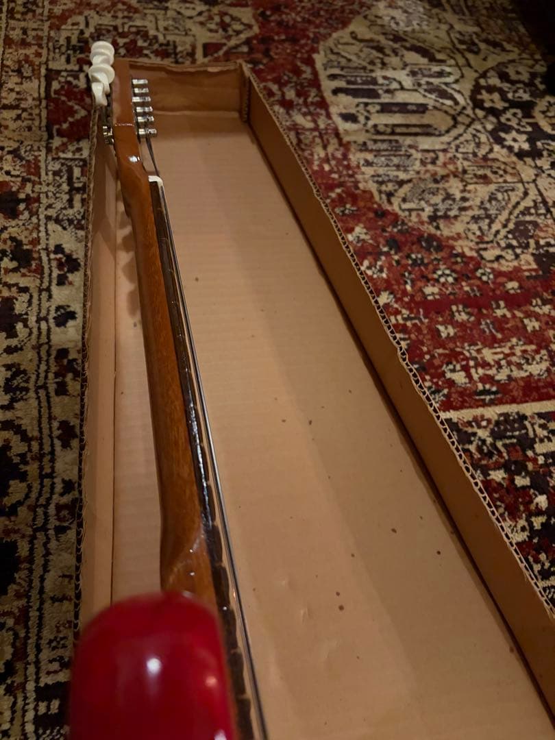 ビザールギター　Teisco？