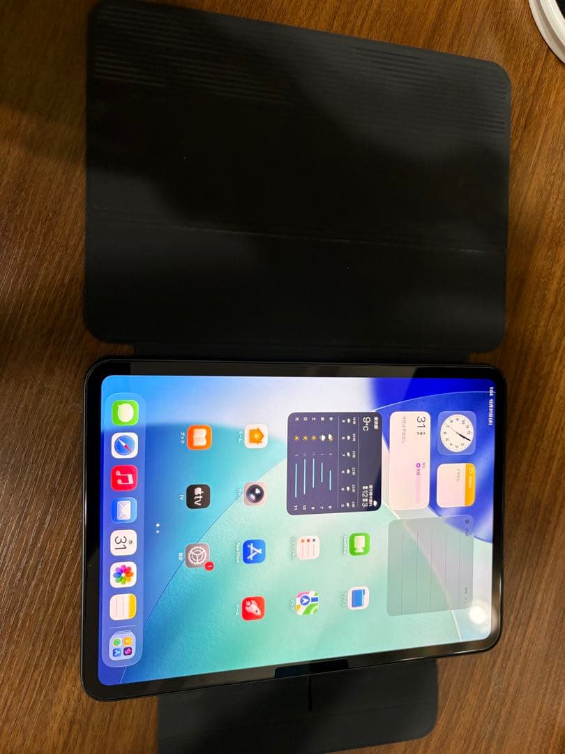 美品　iPad Pro M4 11インチ　512GB