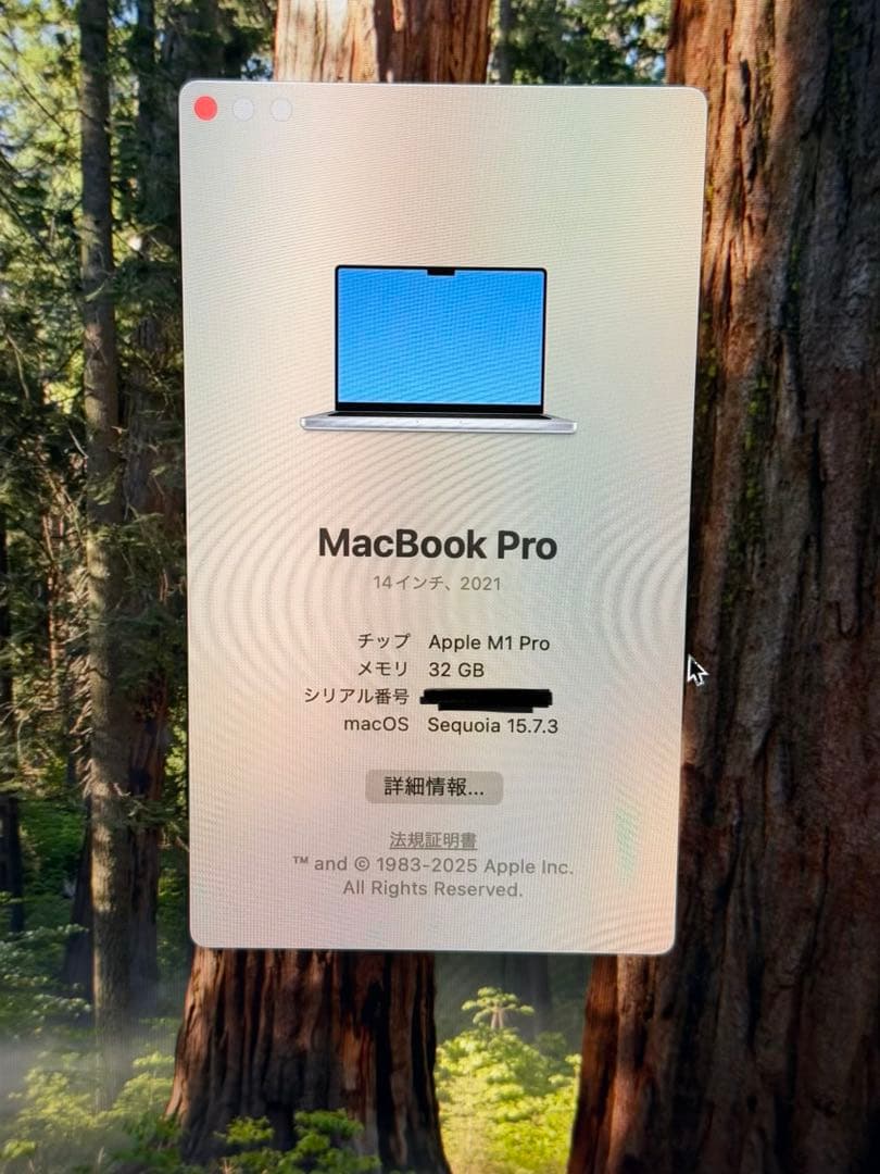 MacBook Pro 14“ M1 Pro 32GB US
