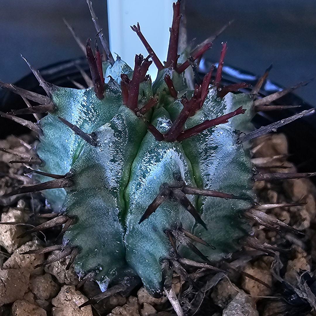 K（断捨離中）様 リクエスト 2点 まとめ商品