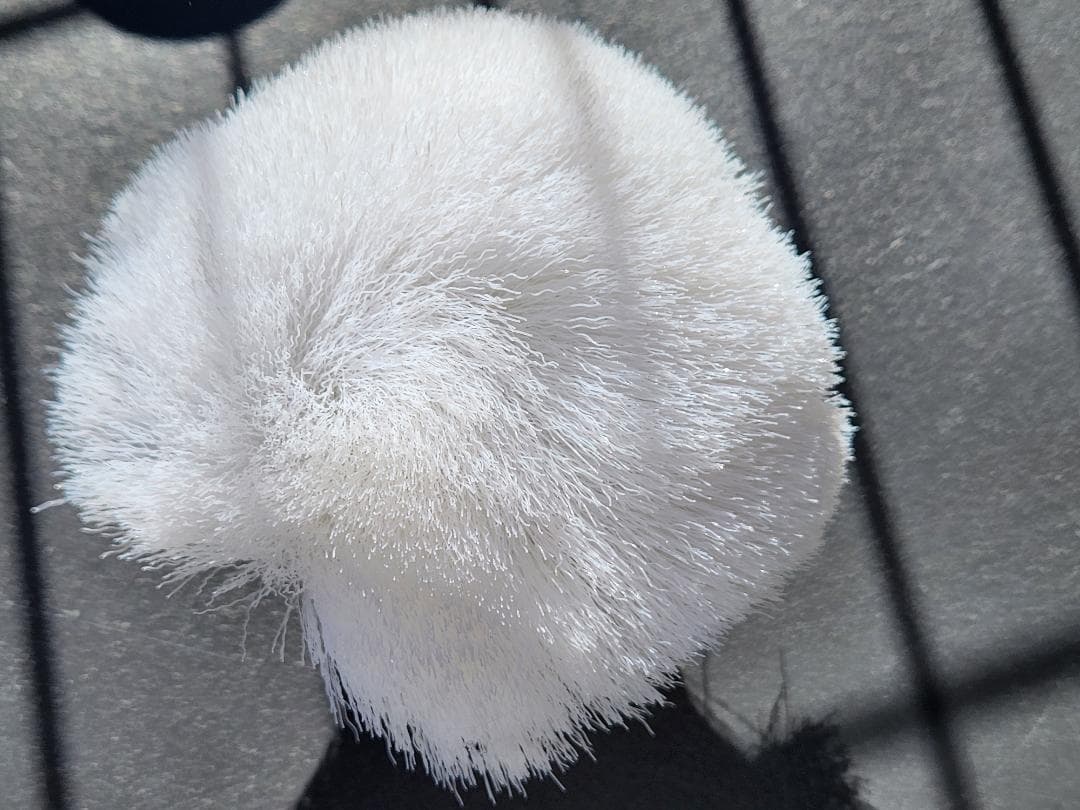 ターボプロベーシック アタッチメントセット TBPD-JW01 バスクリーナー