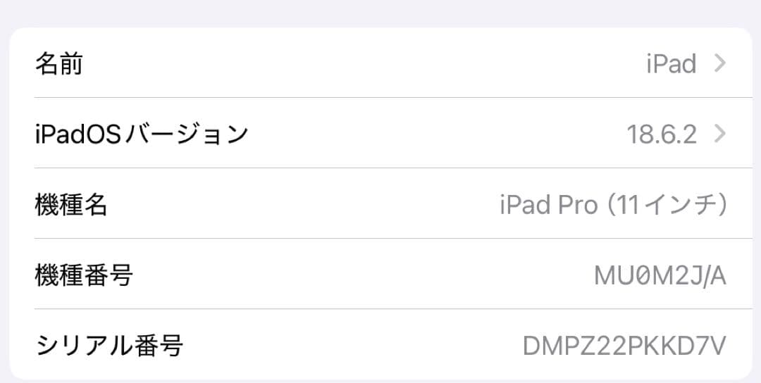 I*n様 iPad Pro 11インチ (第1世代) 64GB スペースグレー