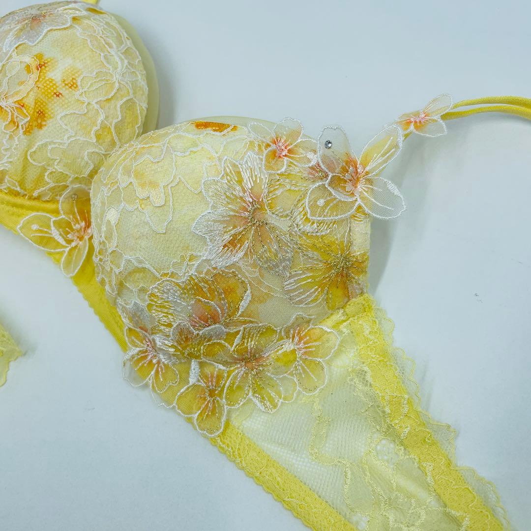 ワコール／パルファージュパーソナルフィットプラスブラブラジャーとショーツC70M