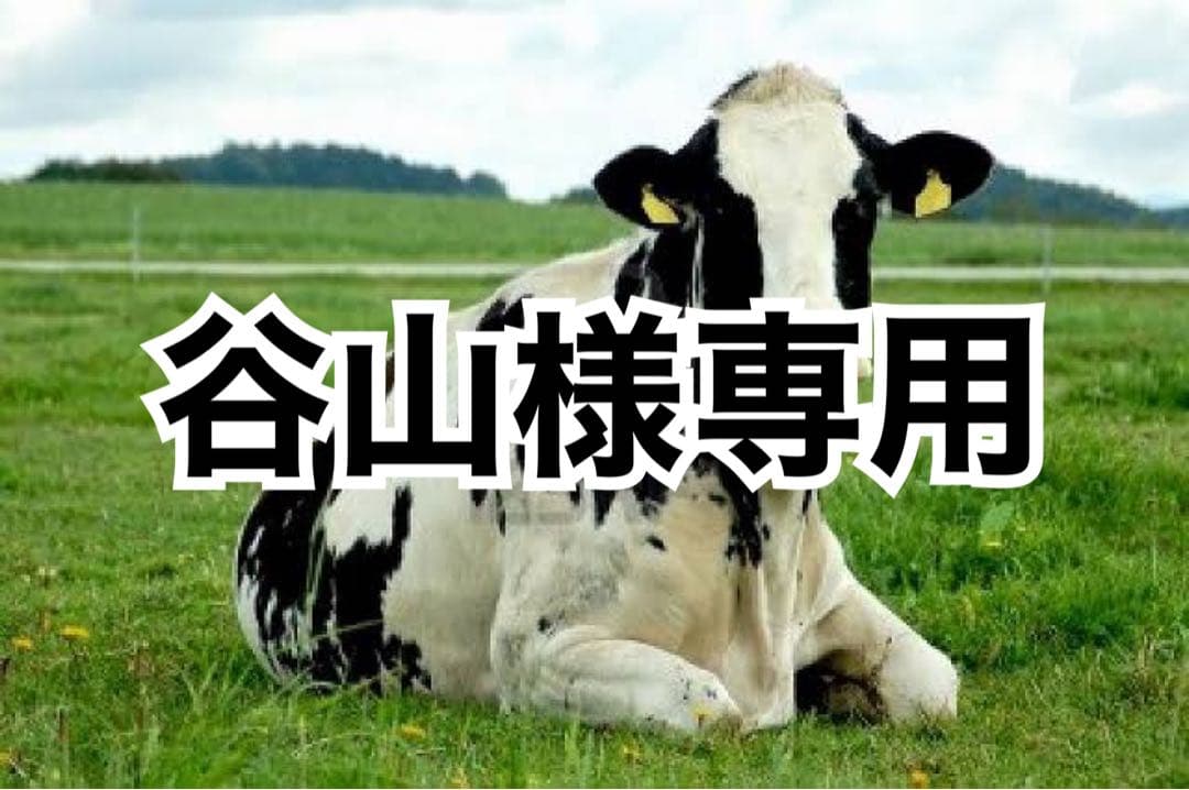 赤、黒、オレンジへり、黒芯白5