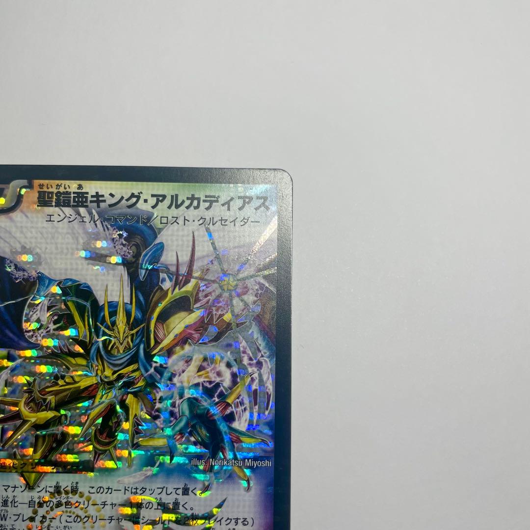 聖鎧亜キングアルカディアス　シークレット　1113