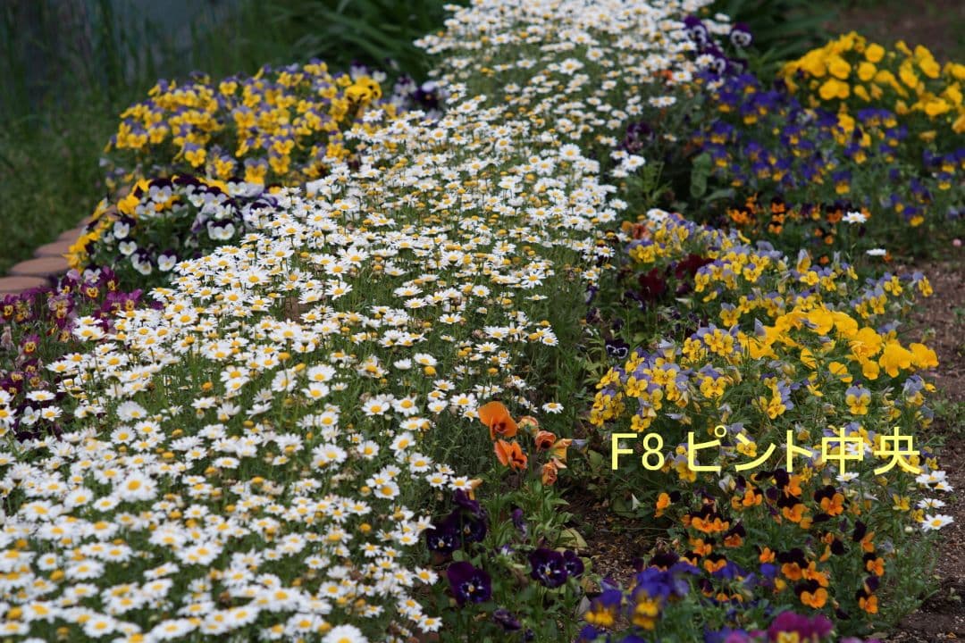 レンズ(単焦点) super takumar 105/2.8