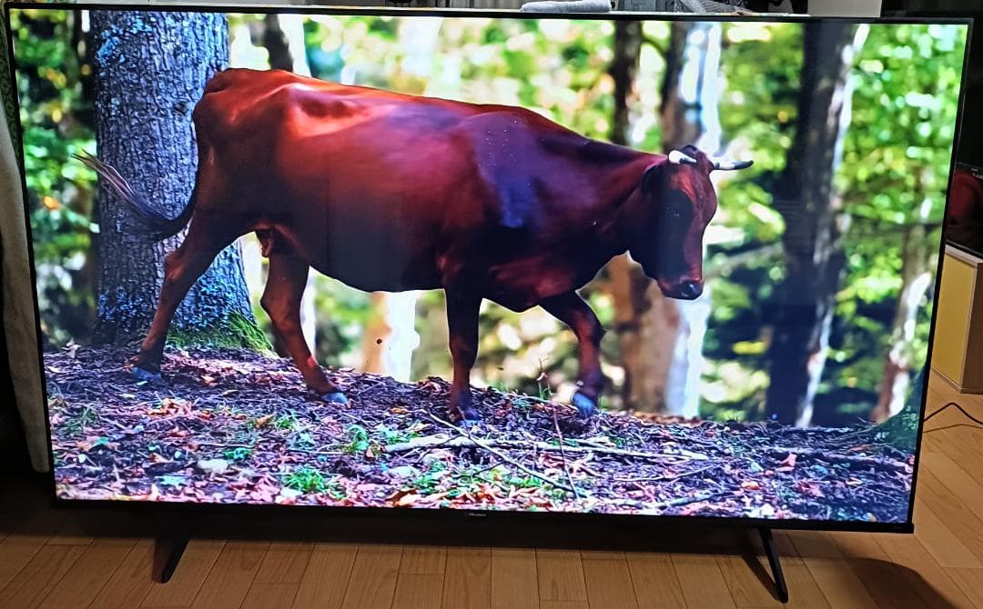 値下げ‼️美品25年製65V型Hisense65A6K多機能リモコン初期フィルム