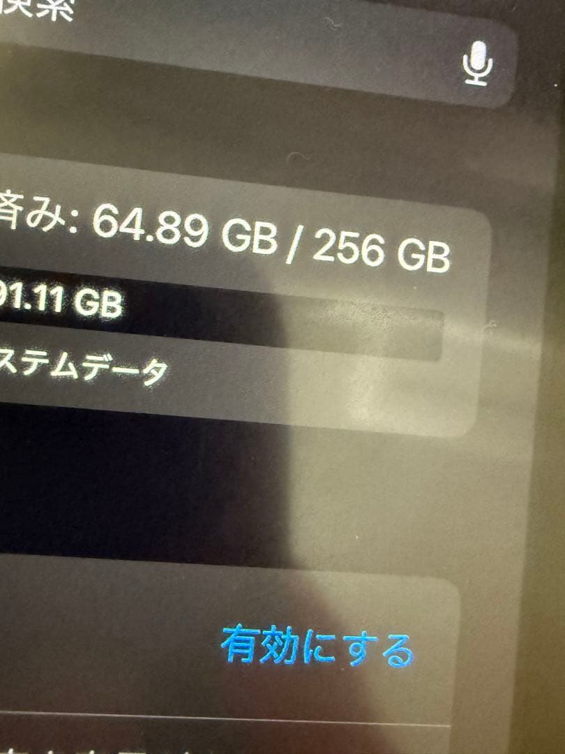 iPad 本体 ピンク 第10世代 256GB ケースとアップルペンシル付き