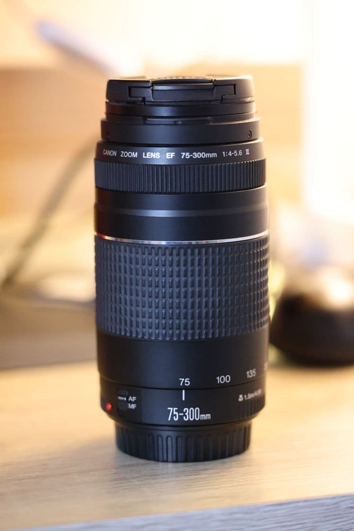 入学式卒業式に★超望遠レンズCanon EF75-300mmf/4-5.6III