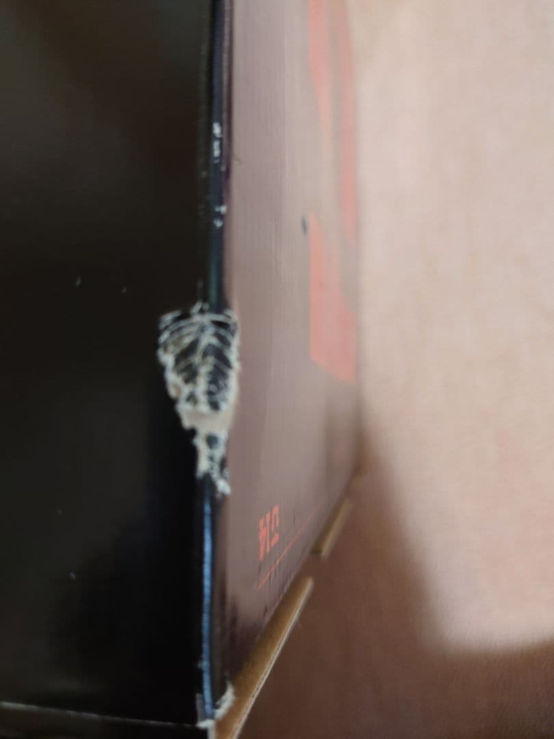 UNION FORCE ビンディング Mサイズ SAND メンズ 未使用