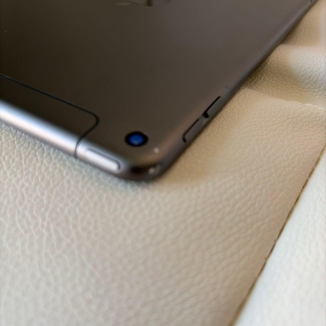 iPad mini 5 Wi-Fi &セルラーモデル256G