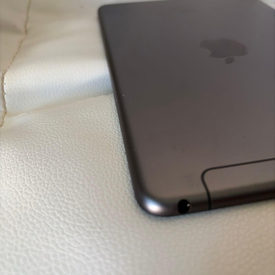 iPad mini 5 Wi-Fi &セルラーモデル256G