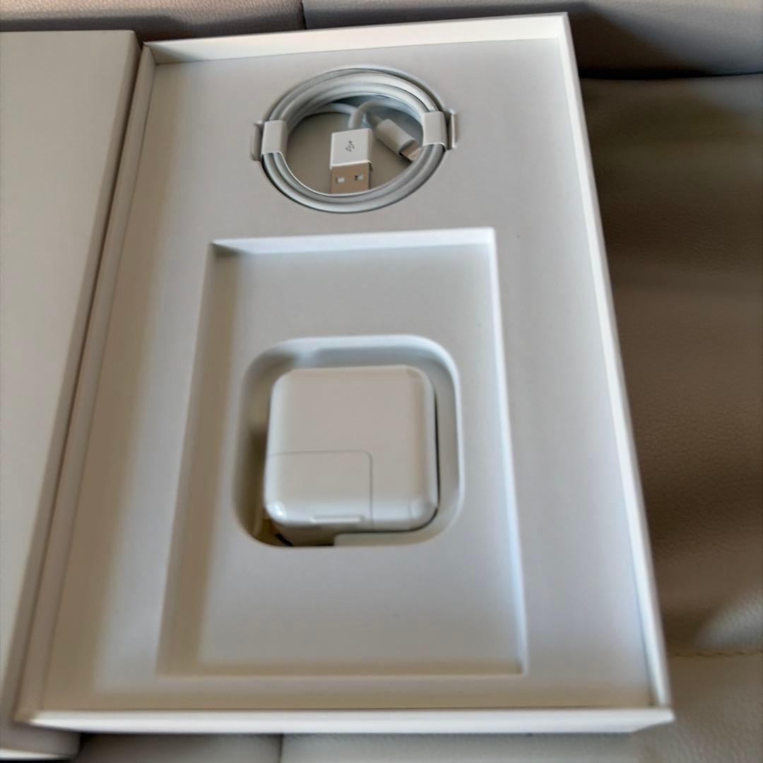 iPad mini 5 Wi-Fi &セルラーモデル256G