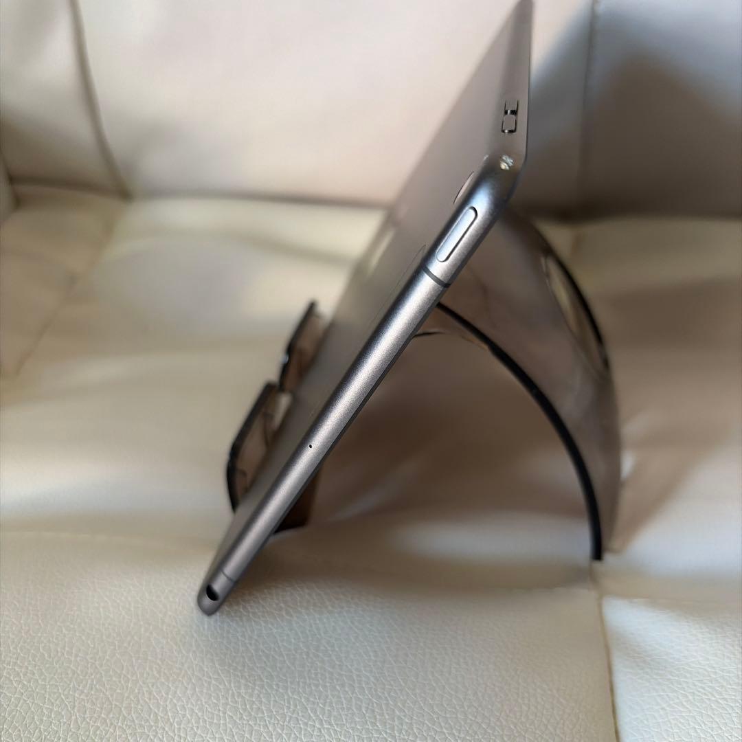 iPad mini 5 Wi-Fi &セルラーモデル256G