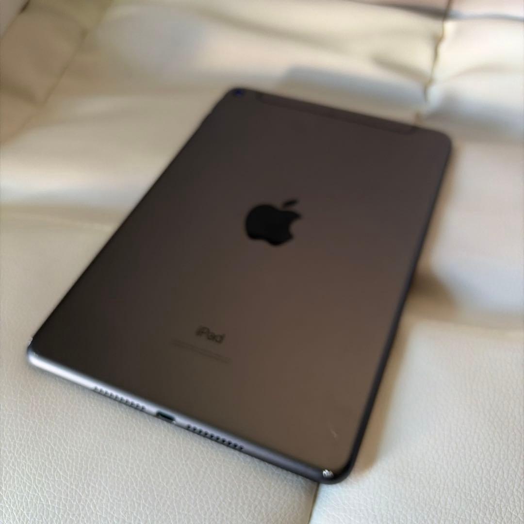 iPad mini 5 Wi-Fi &セルラーモデル256G