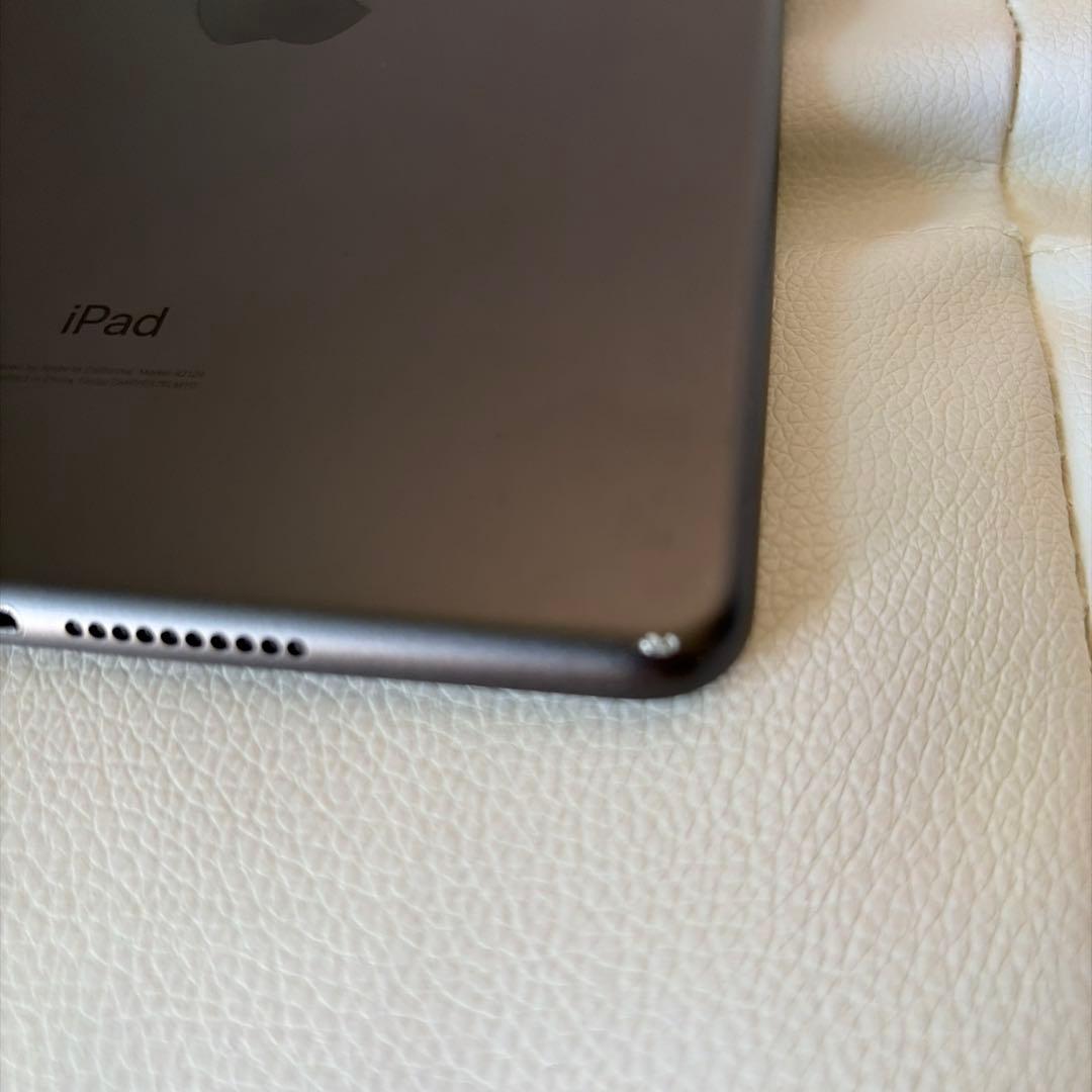 iPad mini 5 Wi-Fi &セルラーモデル256G