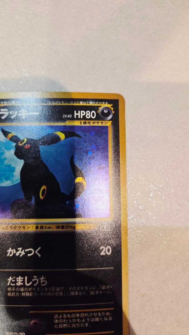 ブラッキー　(遺跡をこえて…)