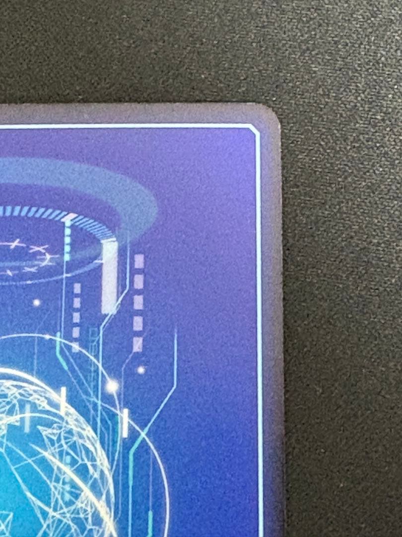 ブラックウォーグレイモンace 希少