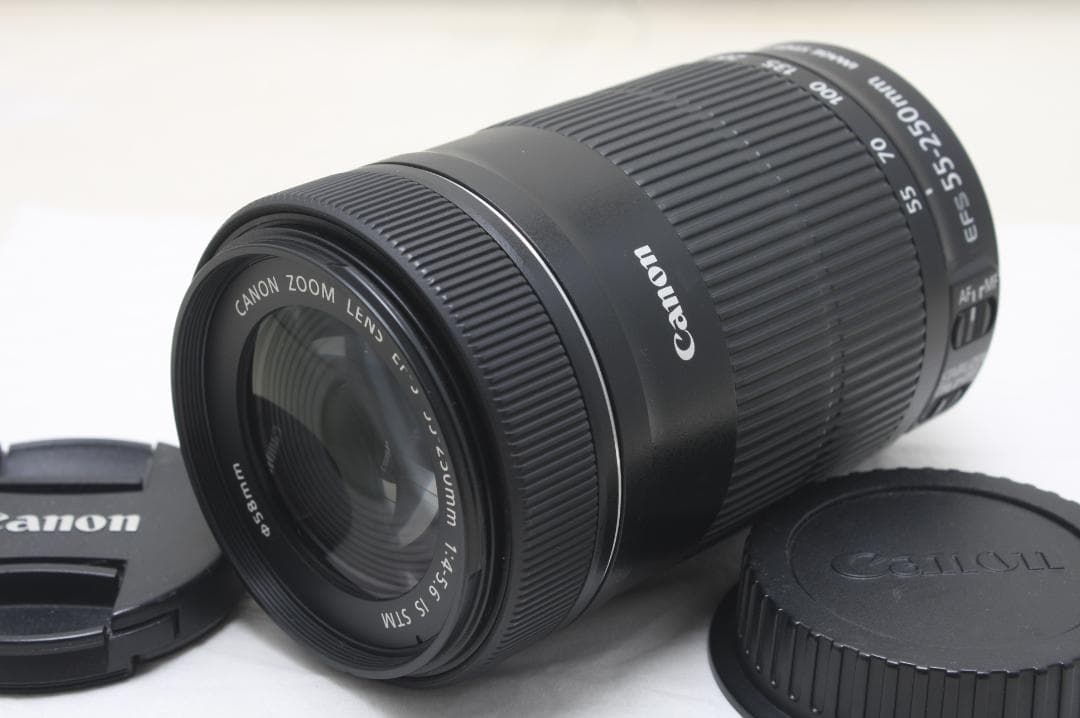 キヤノン EF-S 55-250mm F4-5.6 IS STM 1862