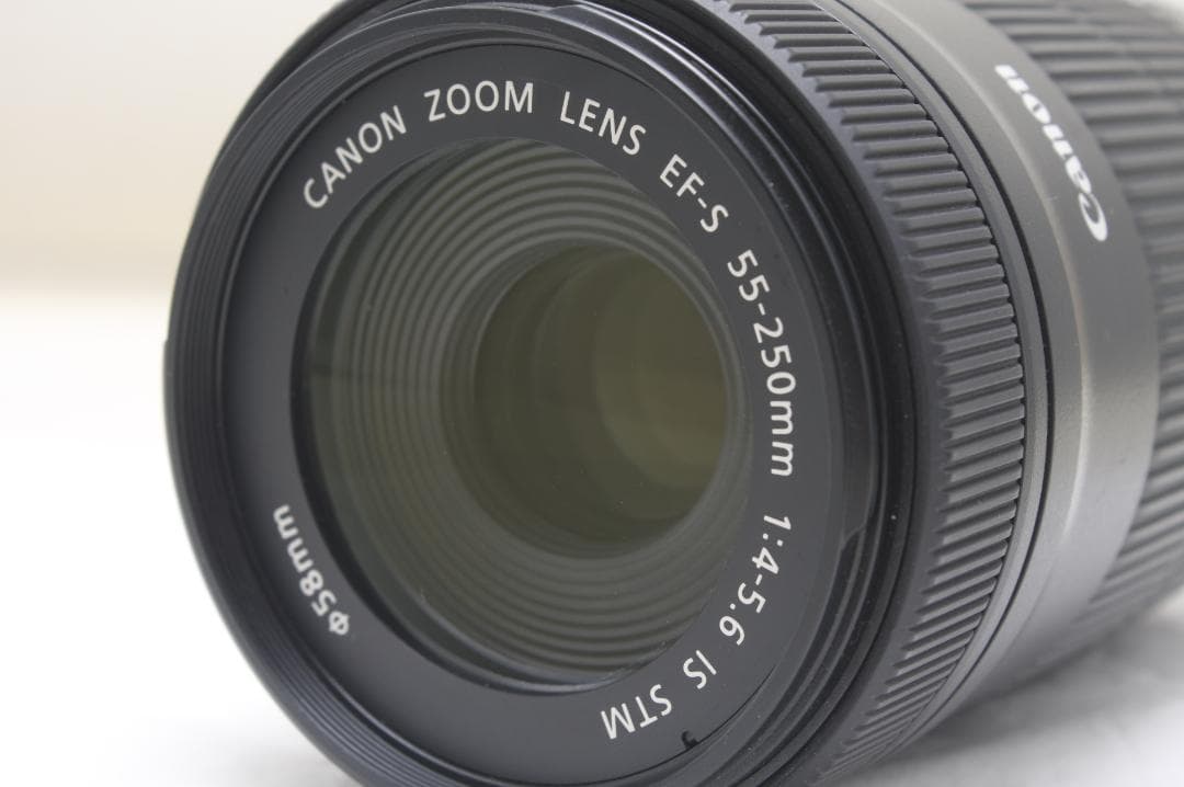 キヤノン EF-S 55-250mm F4-5.6 IS STM 1862