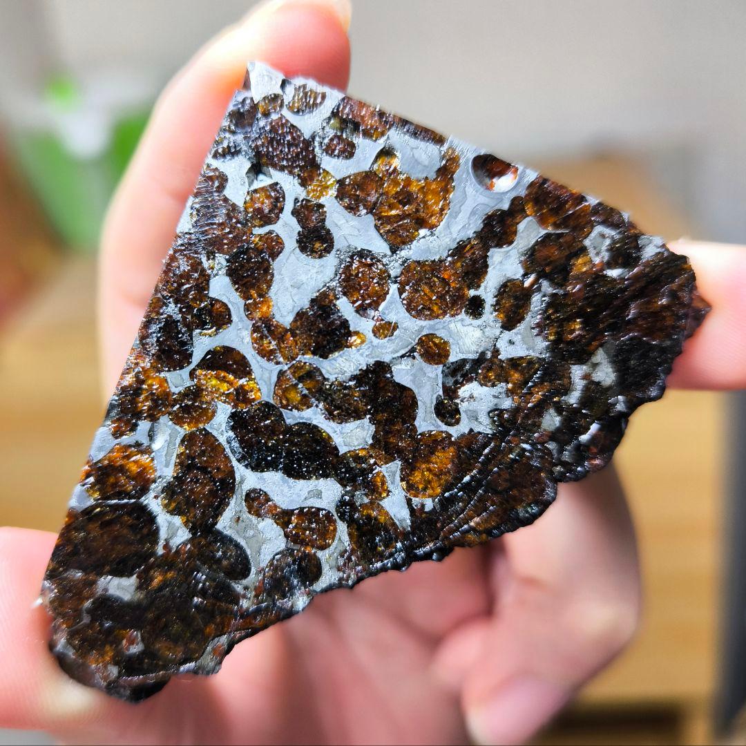 セリコ隕石 93g 外皮付き パラサイト 石鉄隕石