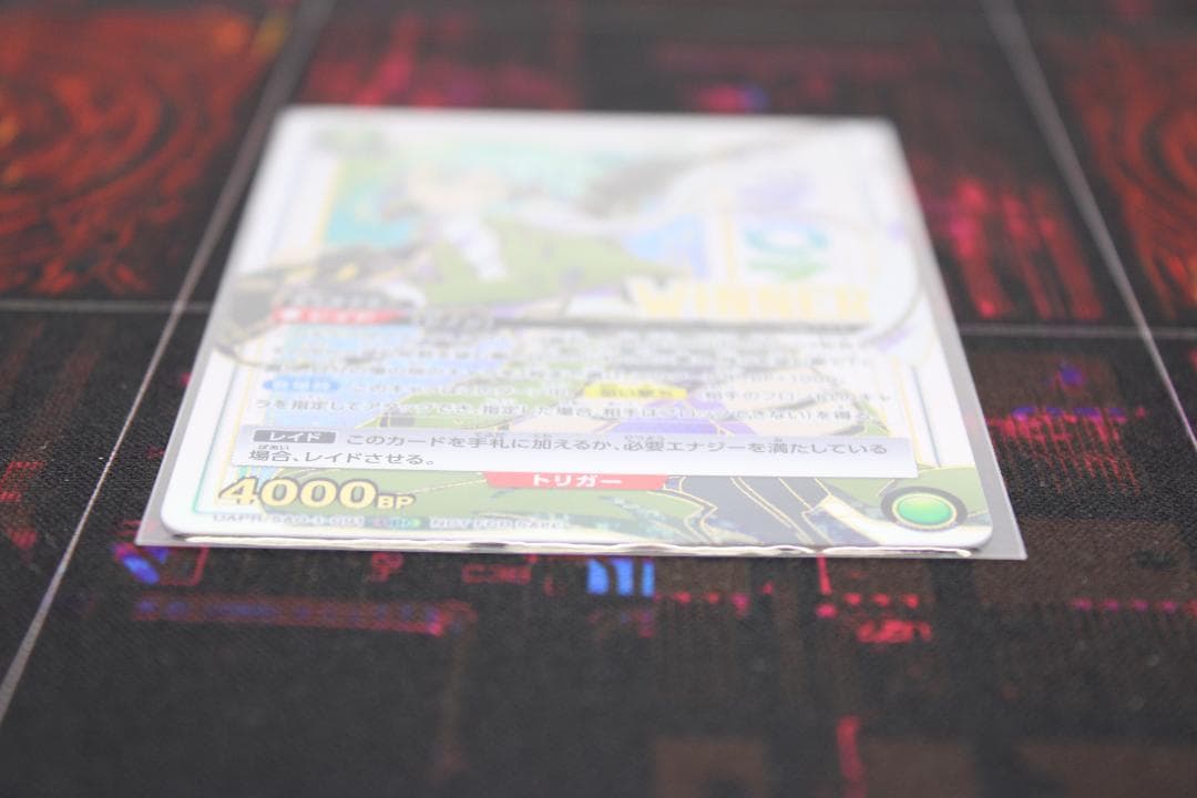 未開封 シノン WINNER OBC プロモ 44-JD0523-20